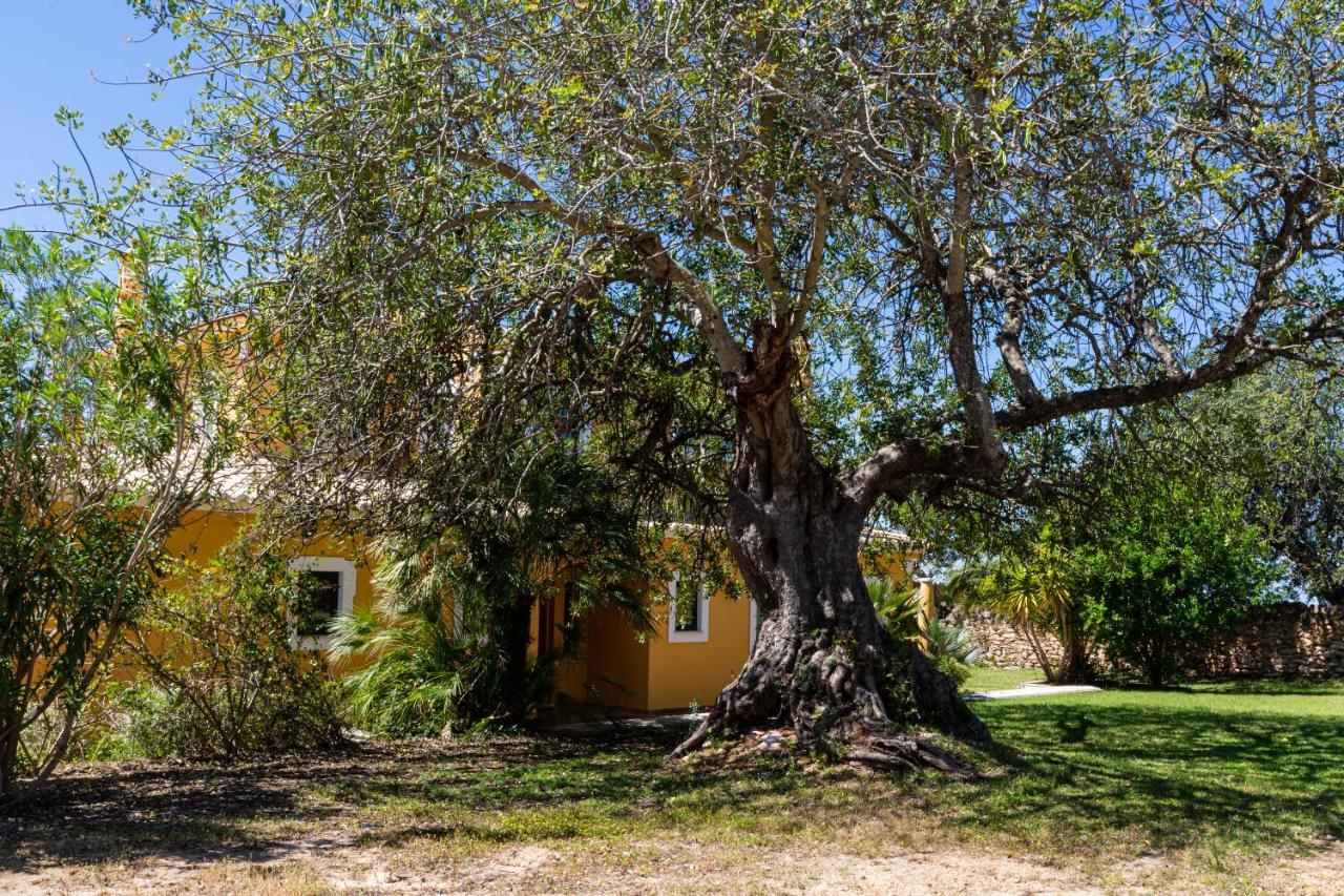 Vila Limao Boliqueime Ngoại thất bức ảnh